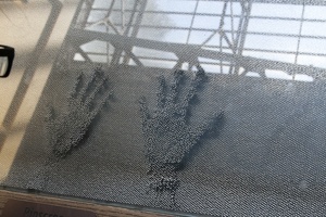319-9384 Exploratorium - Mimi's hands